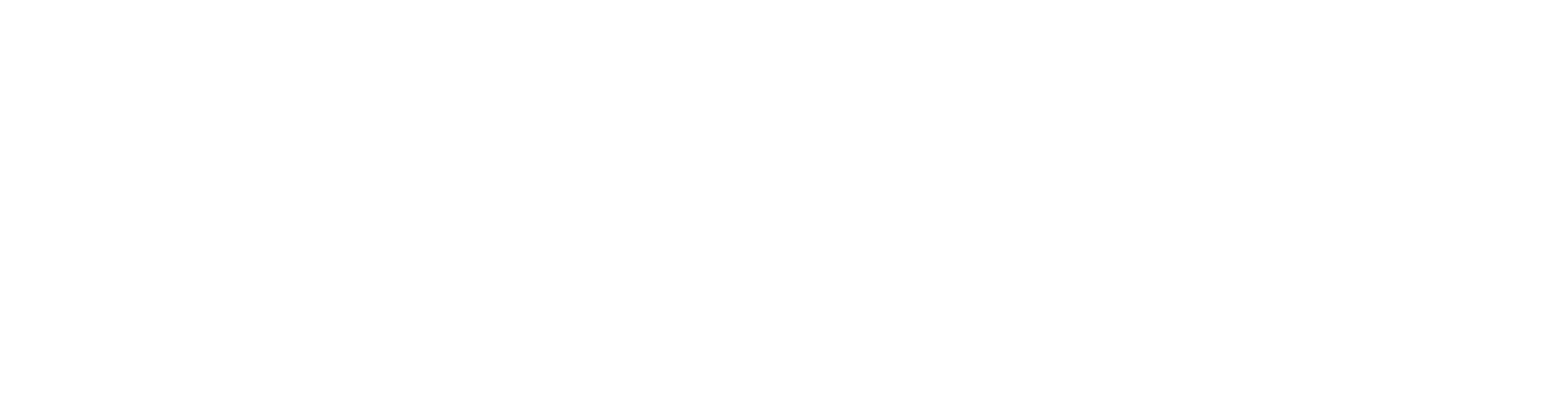 Logo von Treuenburg